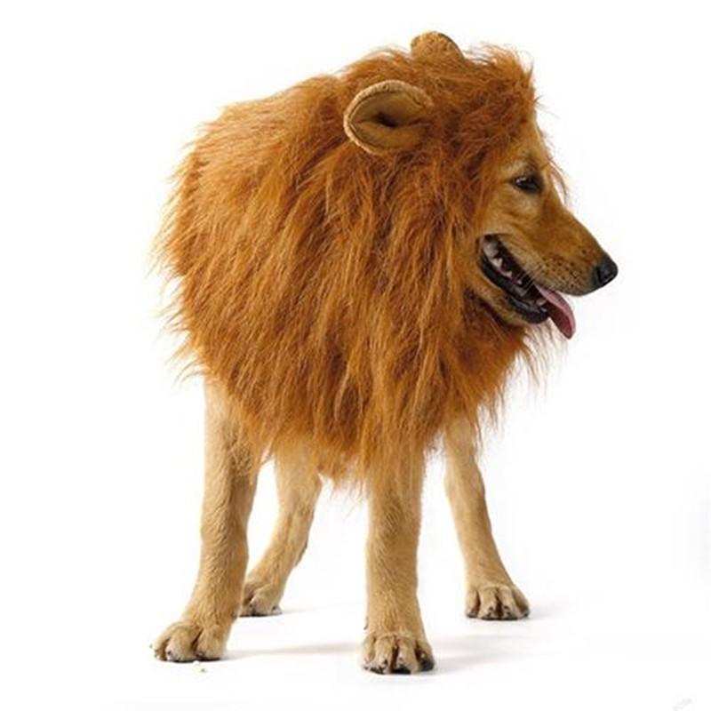 Lion Mane for Dog