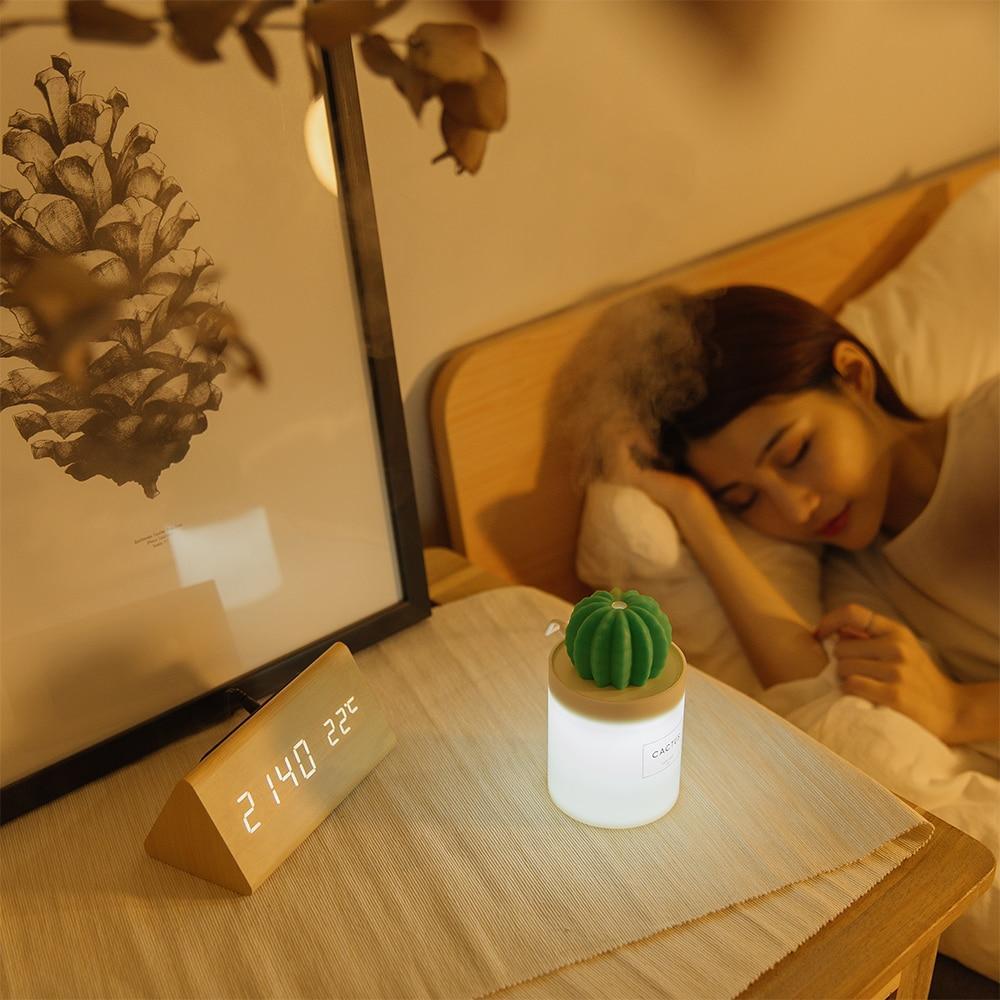 Illuminated cactus ball humidifier