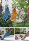 Translation missing: es.sections.featured_product.gallery_thumbnail_alt
