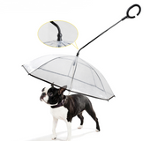 Transparent pet umbrella