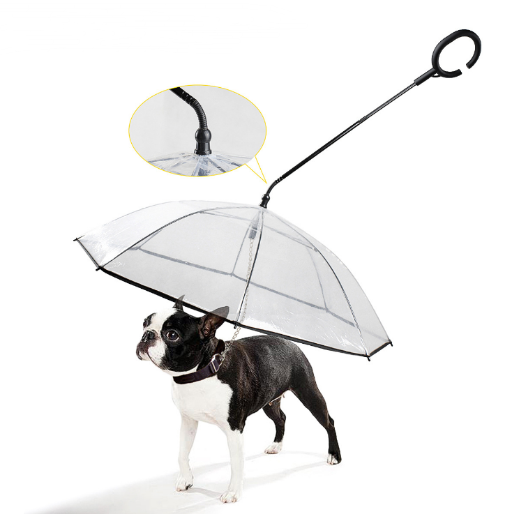 Transparent pet umbrella