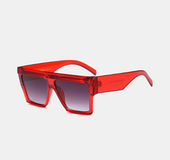 Large hinge frame sunglasses