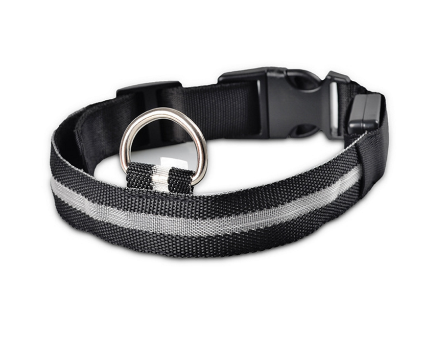 Collar Led Para Perro