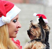 Christmas pet cap