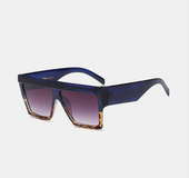 Large hinge frame sunglasses