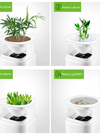 Translation missing: es.sections.featured_product.gallery_thumbnail_alt
