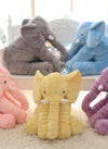 Translation missing: es.sections.featured_product.gallery_thumbnail_alt
