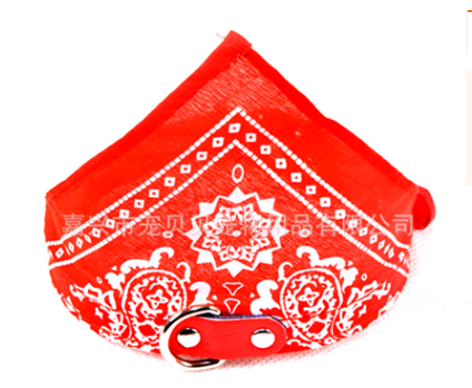 Collar Paliacate Bandana