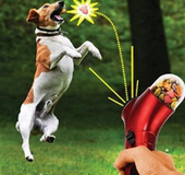 Lanzador de premios para perro