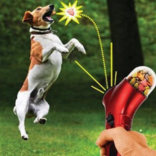 Lanzador de premios para perro