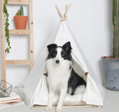 Tienda Apache Para Mascotas