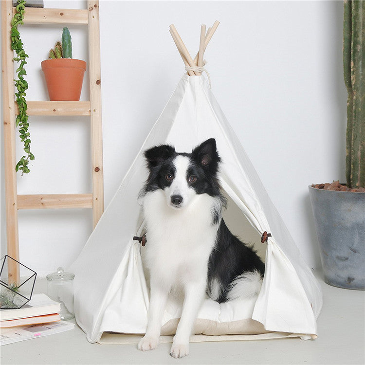 Tienda Apache Para Mascotas
