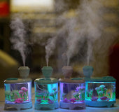 Fish tank lamp humidifier