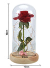 Translation missing: es.sections.featured_product.gallery_thumbnail_alt
