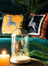 Translation missing: es.sections.featured_product.gallery_thumbnail_alt

