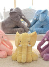 Translation missing: es.sections.featured_product.gallery_thumbnail_alt
