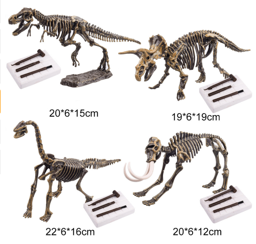 Dinosaur archaeological excavation toys  educational toys
