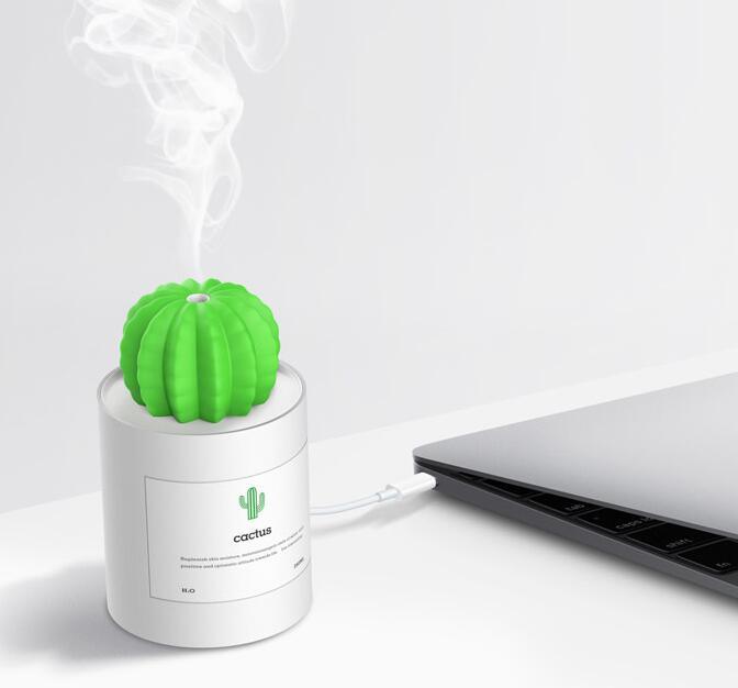 Illuminated cactus ball humidifier