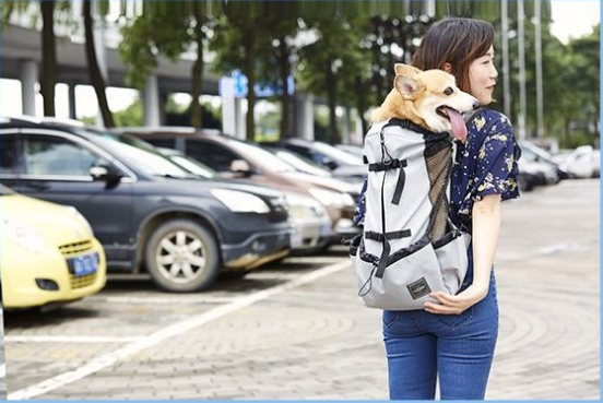 Dog Pet Shoulder Passenger Backpack Dog Outdoor Bag
