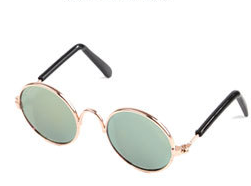 Lentes Fashion Instagram Gato