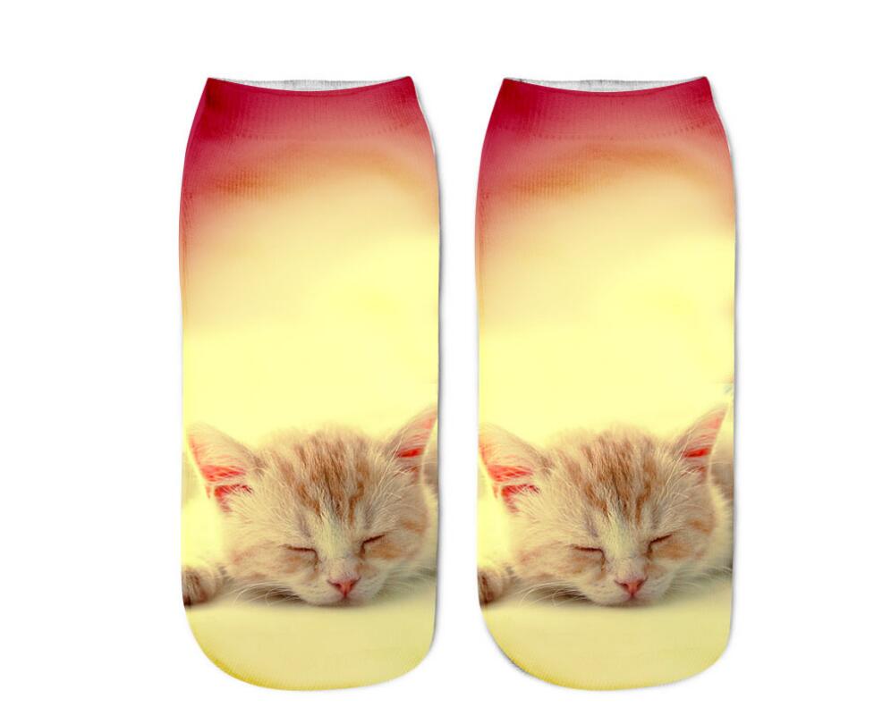 Various Cat Socks