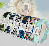 Identificador Collar Para Mascotas