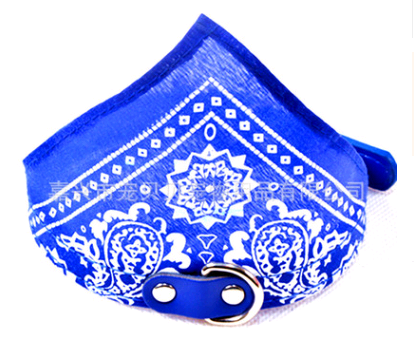 Collar Paliacate Bandana