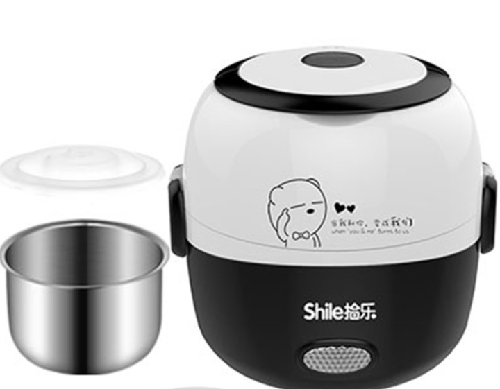 Pluggable heating lunch box