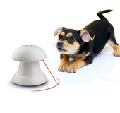 Laser interactivo para gato