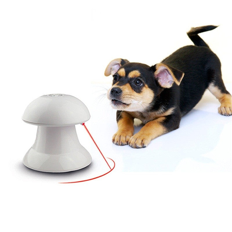 Laser interactivo para gato