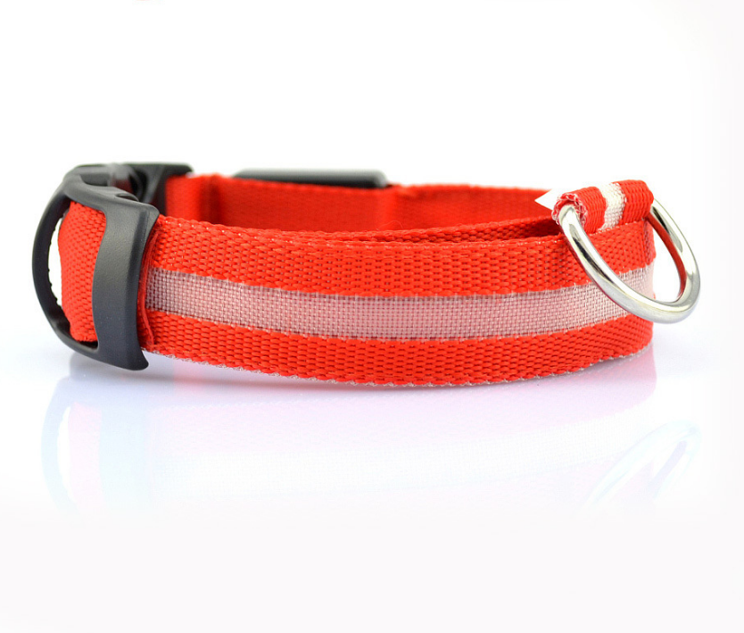 Collar Led Para Perro