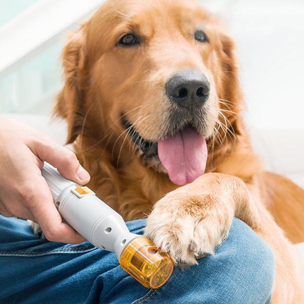 Electric Nail Grinder