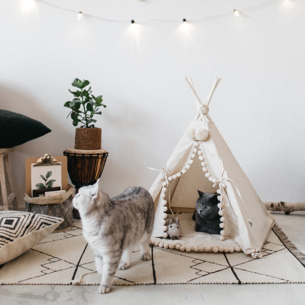 Tienda Cama Para Mascotas