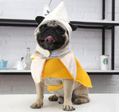 Halloween banana pet clothes