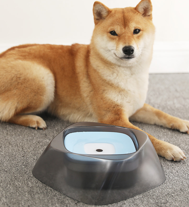 Diamond pet floating bowl detachable non-wet mouth water bowl