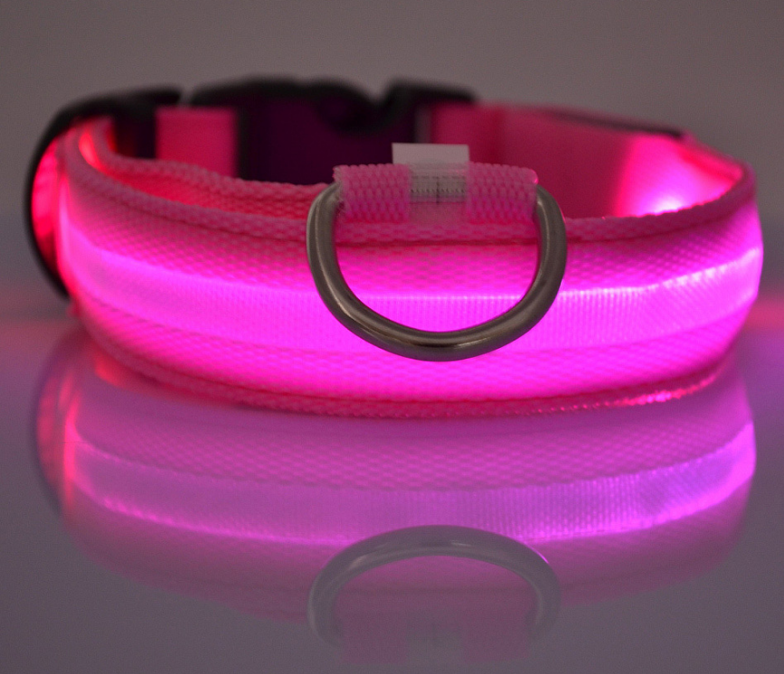 Collar Led Para Perro