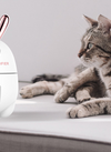 Translation missing: es.sections.featured_product.gallery_thumbnail_alt

