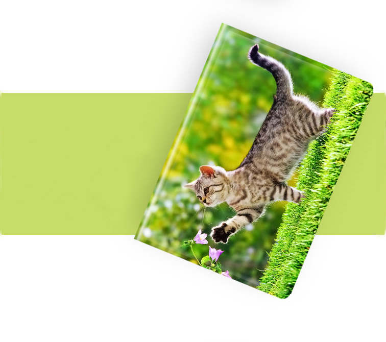Customized Pattern Ipad Cases