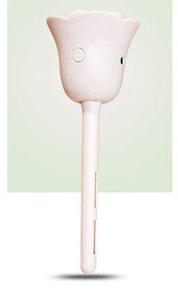 Creative rose humidifier