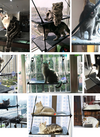 Translation missing: es.sections.featured_product.gallery_thumbnail_alt
