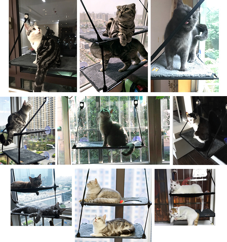Hamaca Ventana Para Gato