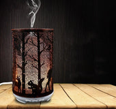 Night light humidifier