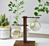 Iron plants vase ornaments