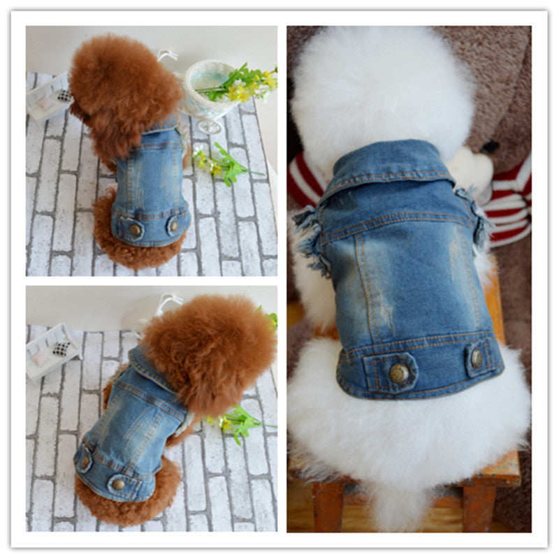 Perro Ranchero