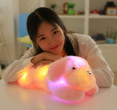 Perro De Peluche Con Luz