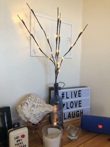 LED Christmas Willow