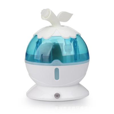Nano steamer facial humidifier