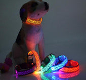 Collar LED