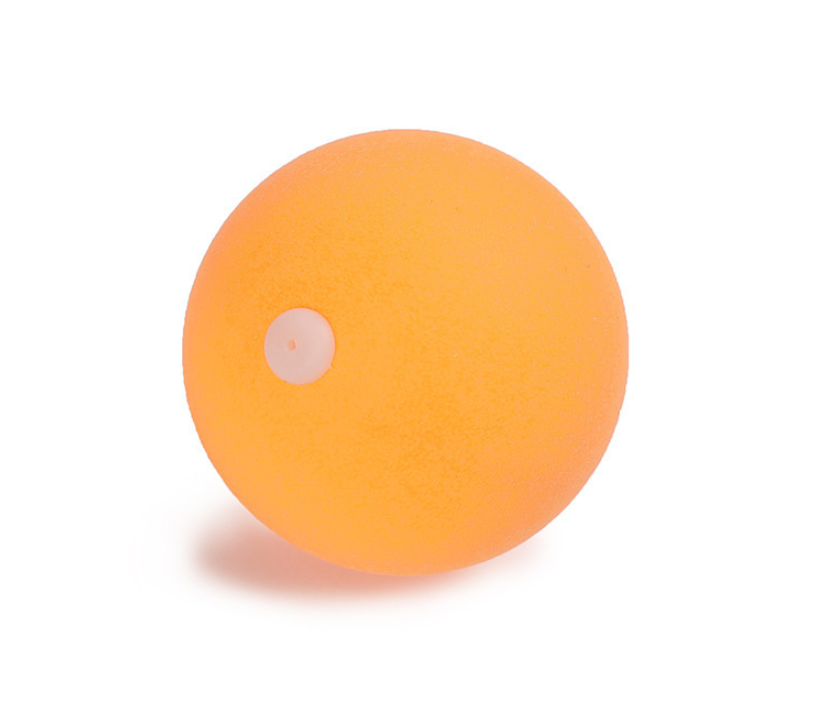 Portable Table Tennis Training