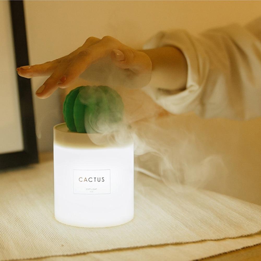 Illuminated cactus ball humidifier
